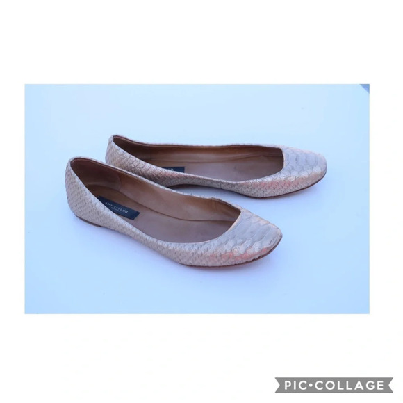 Ann Taylor Shoes - Ann Taylor flats